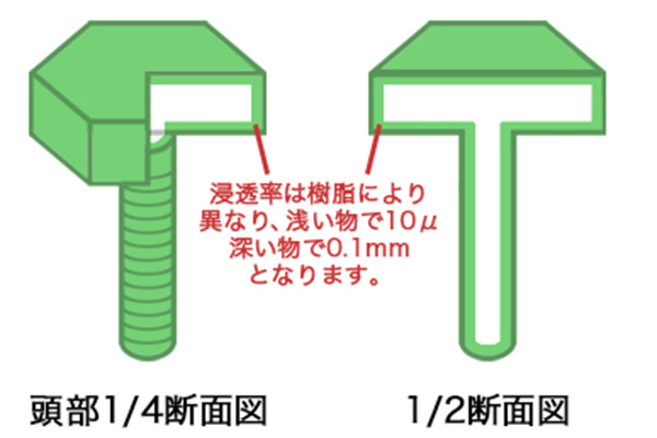 染色の断面図