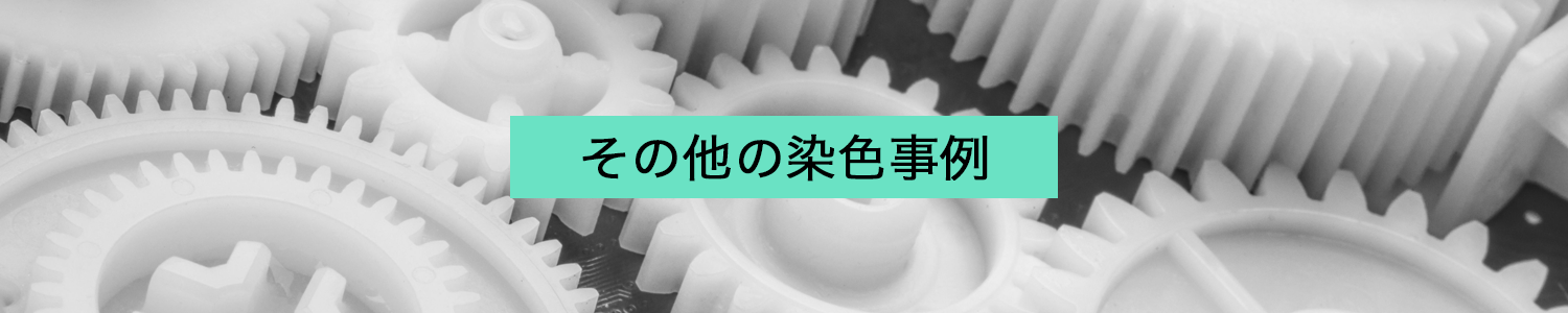 その他の染色事例