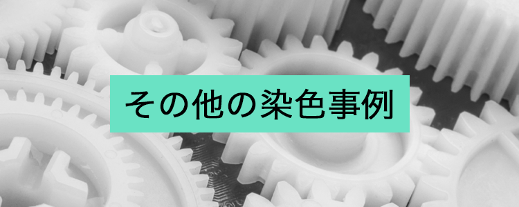 その他の染色事例